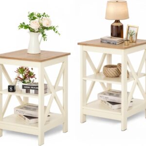 MAISON ARTS End Tables